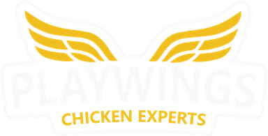 Logo PlayWings